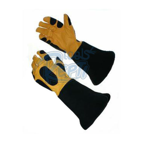 gloves